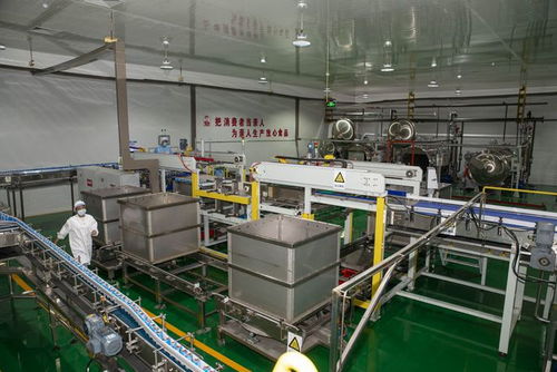 諸城強化服務企業(yè)專員作用，助推生物化工企業(yè)技術(shù)研發(fā)高質(zhì)量發(fā)展