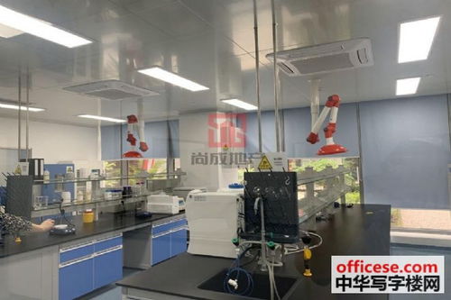 寫字樓出租與生物化工產(chǎn)品技術(shù)研發(fā)辦公室租賃解決方案